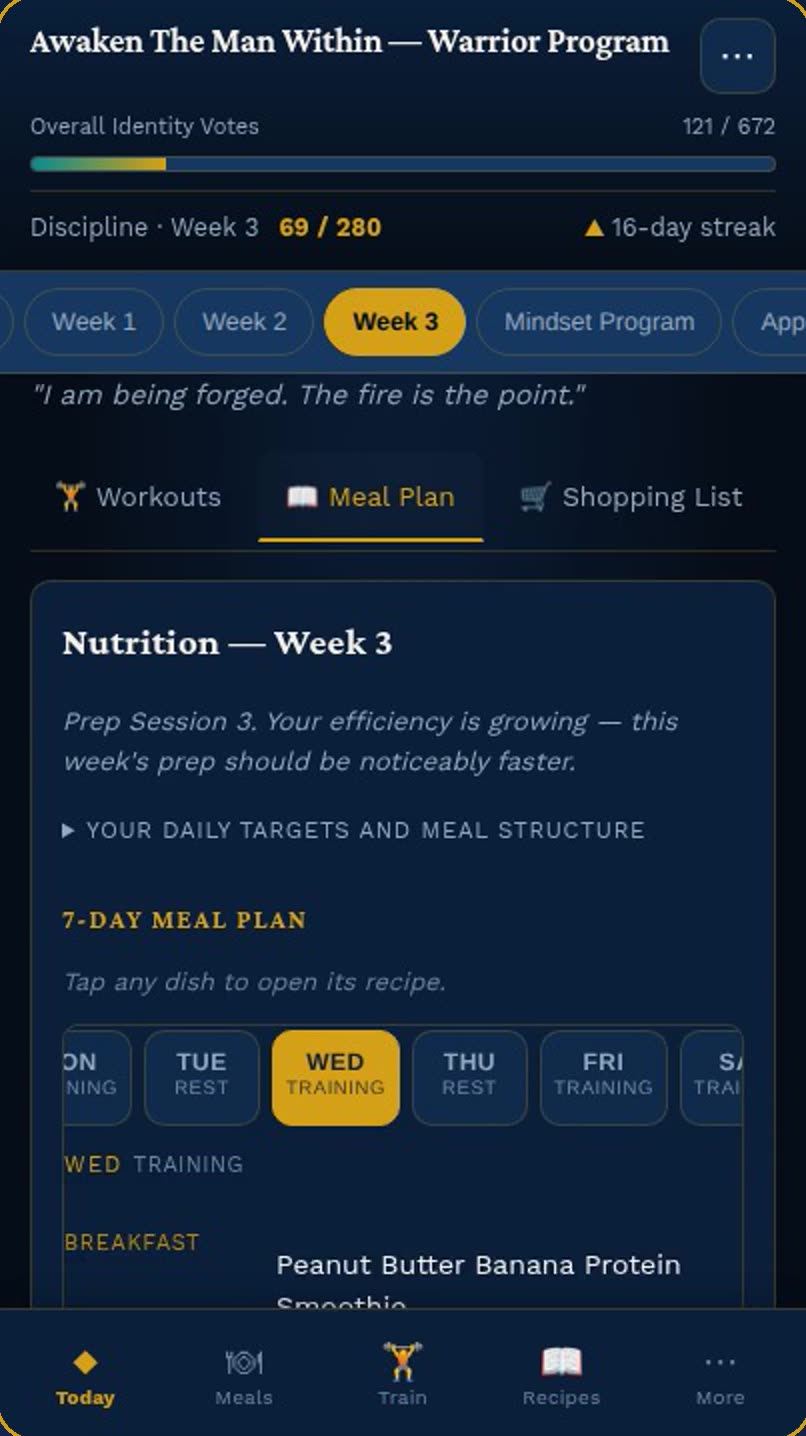 The Warrior Program app on a phone: Week 3 meal plan, with Identity Votes 121 of 672, a Discipline score of 69 out of 280 and a 16-day streak across the top.